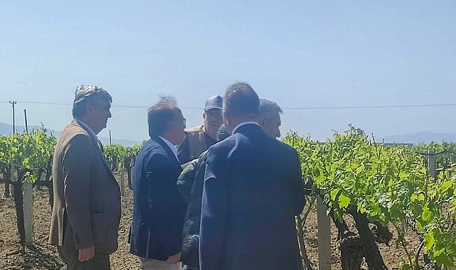 Büyükşehir’den Don Ziyanına Uğrayan Üreticilere Takviye