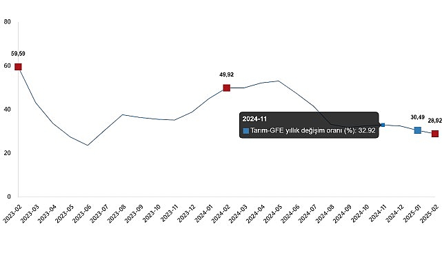 Ziraî Girdi Fiyat Endeksi, Şubat 2025