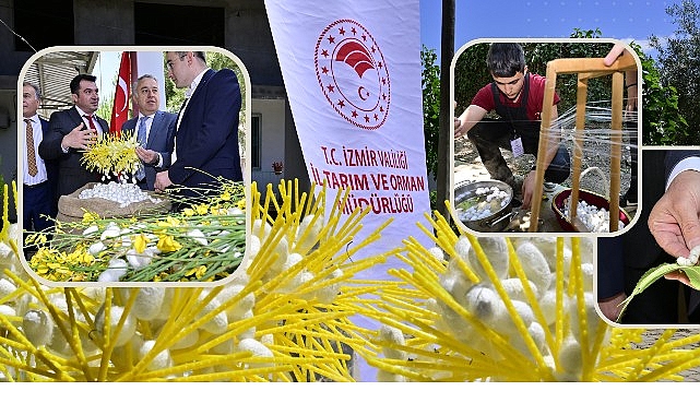 Beydağ’da Kozalar İpek Açtı Beydağ’da Kozalar İpek Açtı